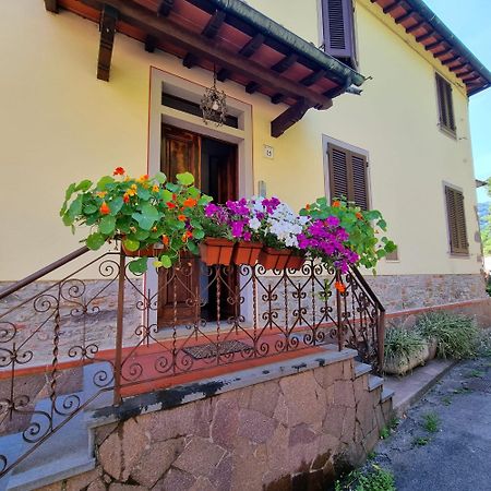 A Collodi Io & Mamma100 M Dal Parco Di Pinocchio Bed & Breakfast Exterior photo