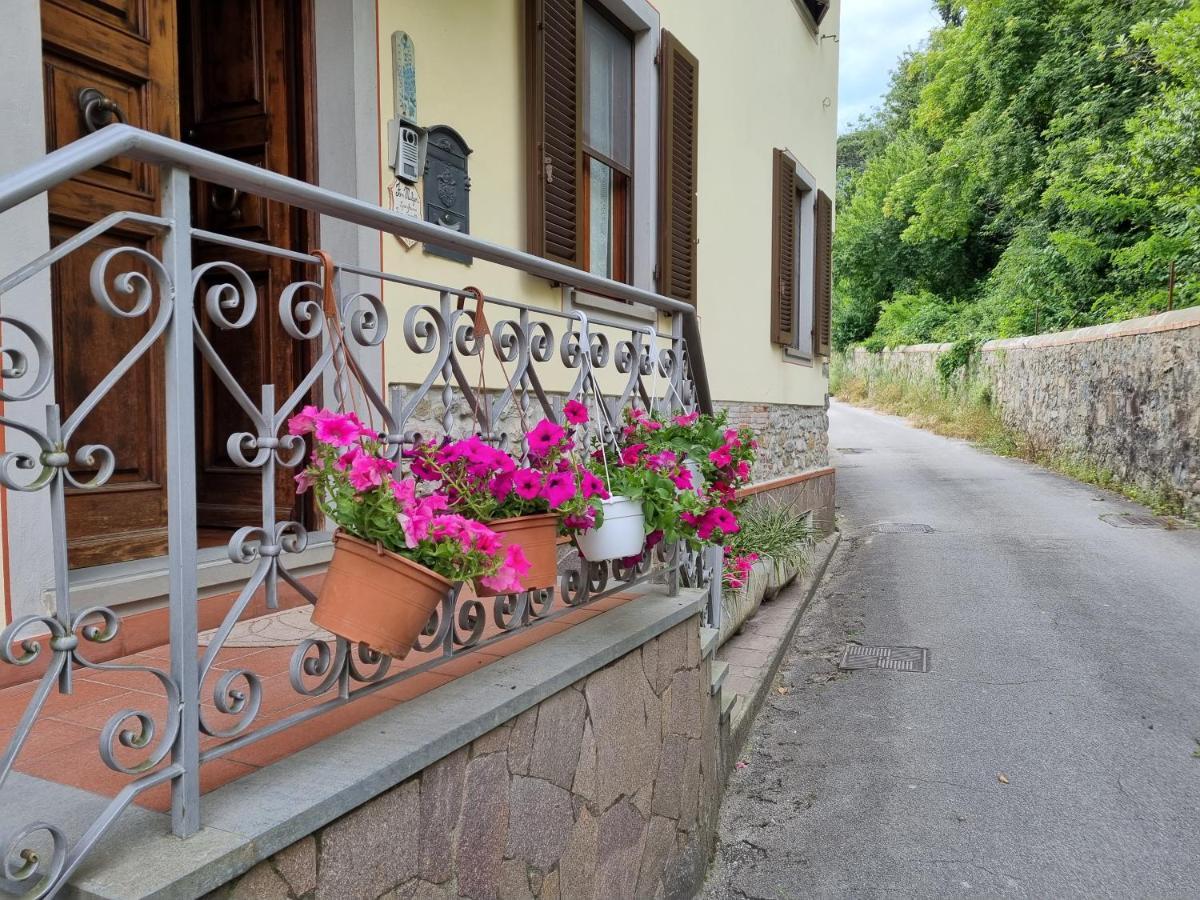 A Collodi Io & Mamma100 M Dal Parco Di Pinocchio Bed & Breakfast Exterior photo